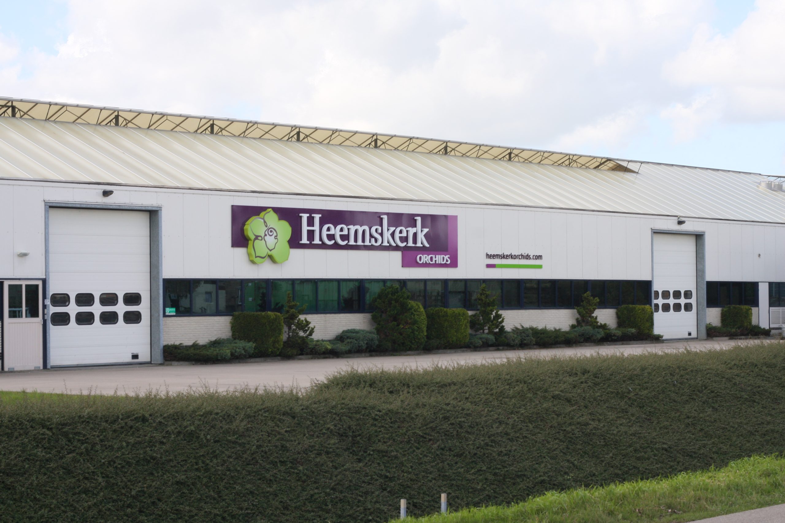 Lichtreclame Heemskerk Orchids Zevenhuizen